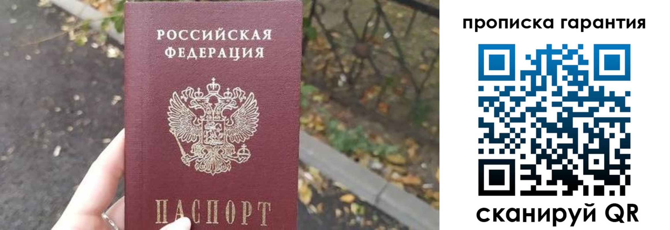 где прописаться в Невеле