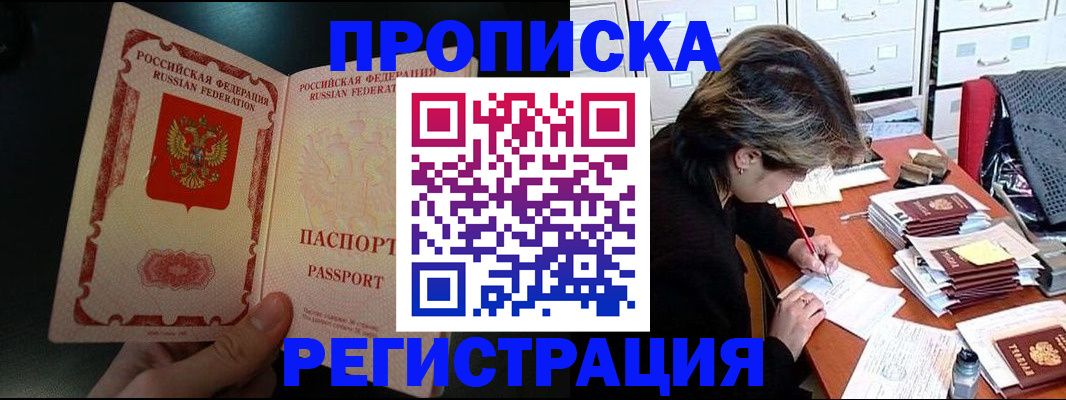 прописка регистрация в Невеле